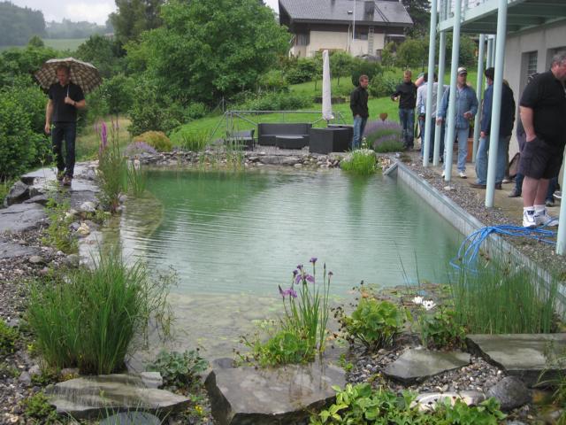 Naturpool Bepflanzung